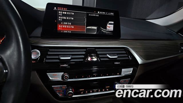 BMW 5시리즈 (G30) Luxury, 2020 14