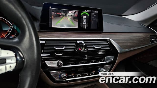 BMW 5시리즈 (G30) Luxury, 2020 15