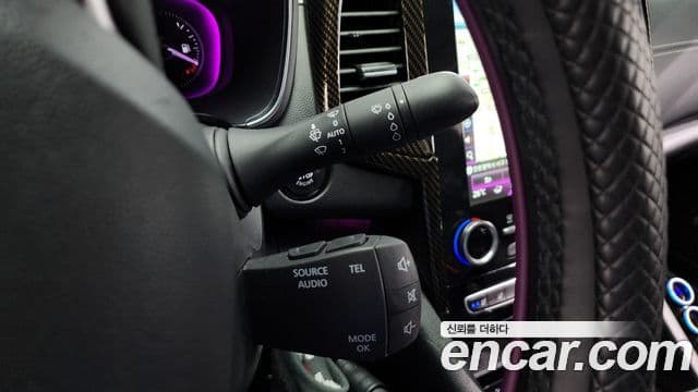 Renault Korea(Samsung) SM6 2.0 LPe RE (для людей с инвалидностью), 2019 17