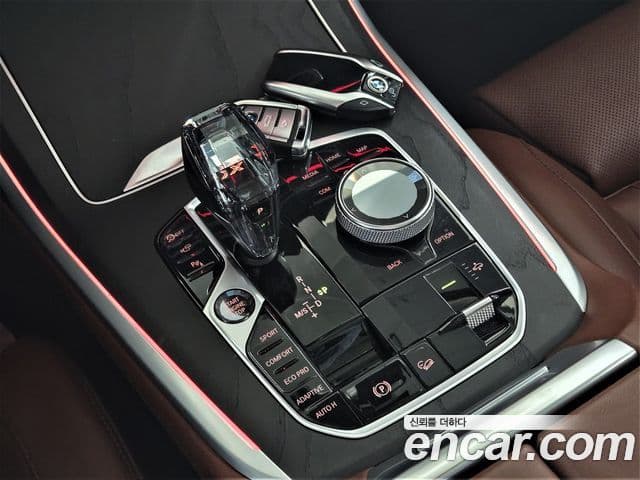 BMW X7 (G07) xDrive 40d Design Pure Excellence 6인승, 2021 9