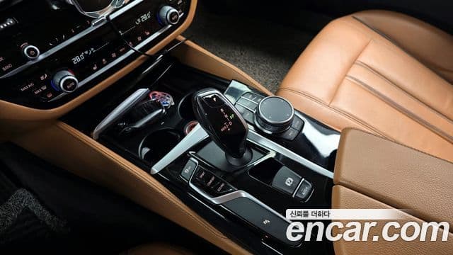 BMW 5시리즈 (G30) Luxury, 2020 9