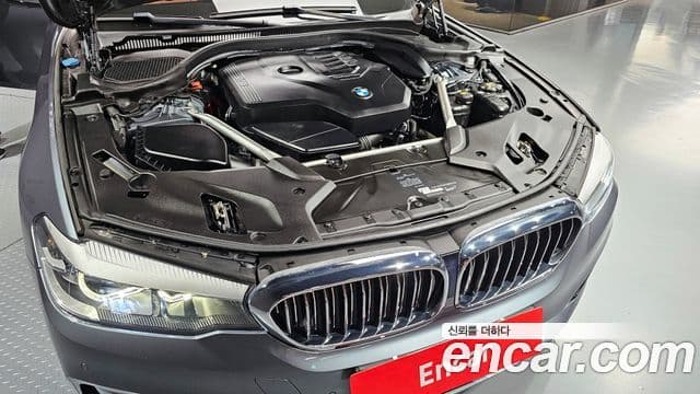 BMW 5시리즈 (G30) Luxury, 2020 6