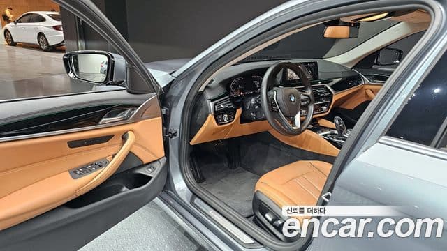 BMW 5시리즈 (G30) Luxury, 2020 11