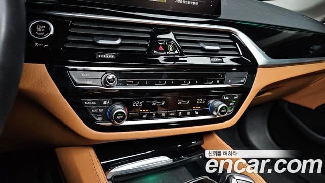 BMW 5시리즈 (G30) Luxury, 2020 16