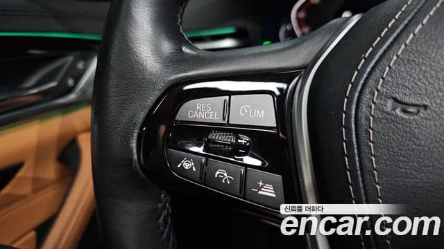 BMW 5시리즈 (G30) Luxury, 2020 17