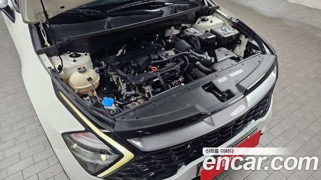 Kia Sportage 5세대 Trendy, 2022 6