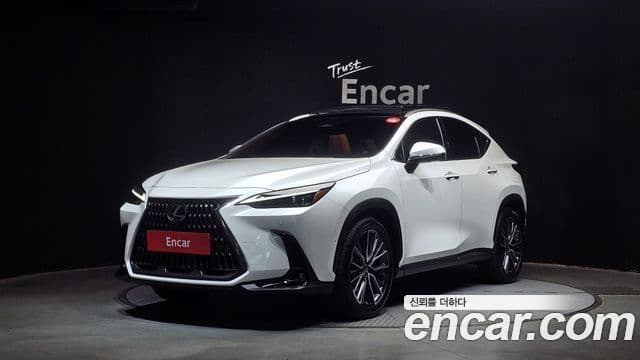Lexus NX350h 2세대 Luxury, 2025 1