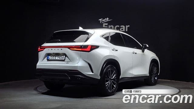 Lexus NX350h 2세대 Luxury, 2025 2