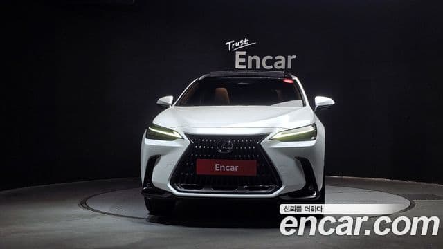 Lexus NX350h 2세대 Luxury, 2025 3