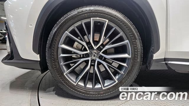 Lexus NX350h 2세대 Luxury, 2025 все фото