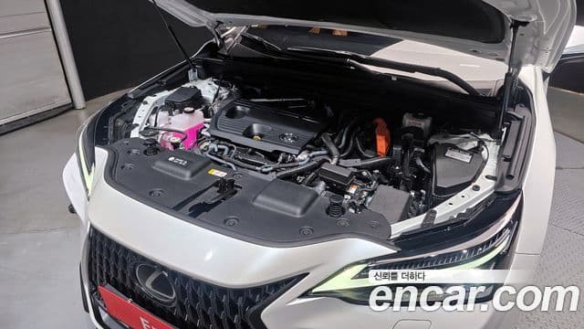 Lexus NX350h 2세대 Luxury, 2025 6