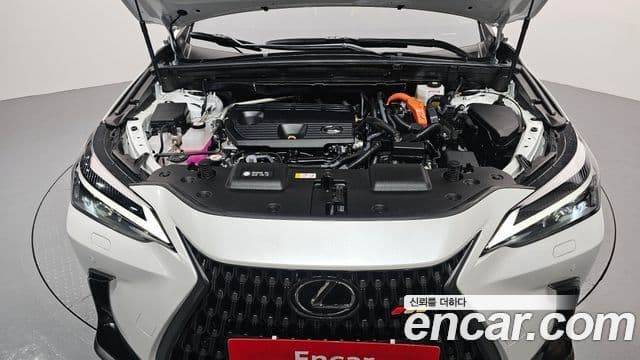 Lexus NX350h 2세대 Premium, 2024 6