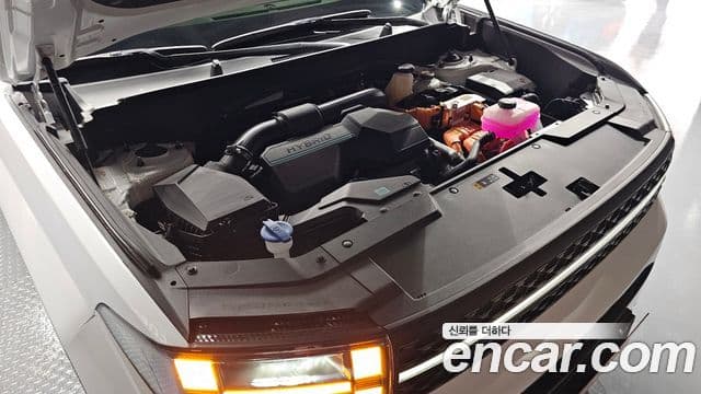 Hyundai Santa Fe (MX5) Calligraphy, 2024 6