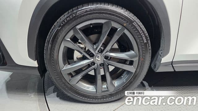 Lexus NX350h 2세대 Premium, 2024 все фото