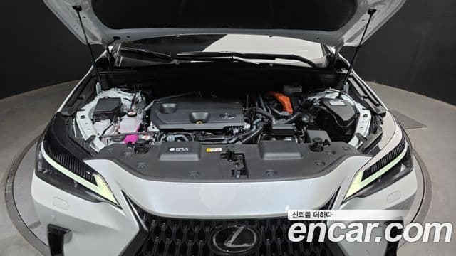 Lexus NX350h 2세대 Premium, 2024 6