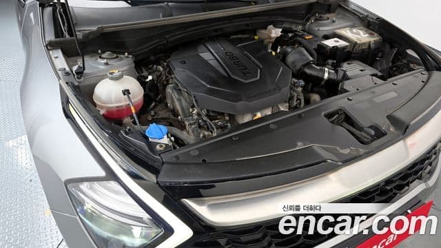 Kia Sportage 5세대 Noblesse, 2022 6