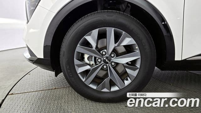 Kia Sportage 5세대 Signature, 2024 все фото