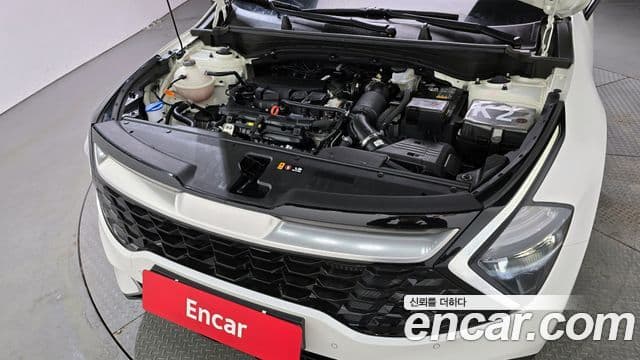 Kia Sportage 5세대 Signature, 2024 6