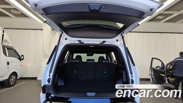 Hyundai Santa Fe (MX5) Calligraphy, 2024 20