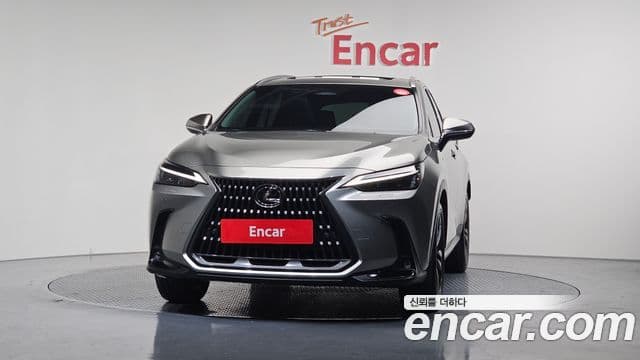 Lexus NX350h 2세대 Premium, 2025 3