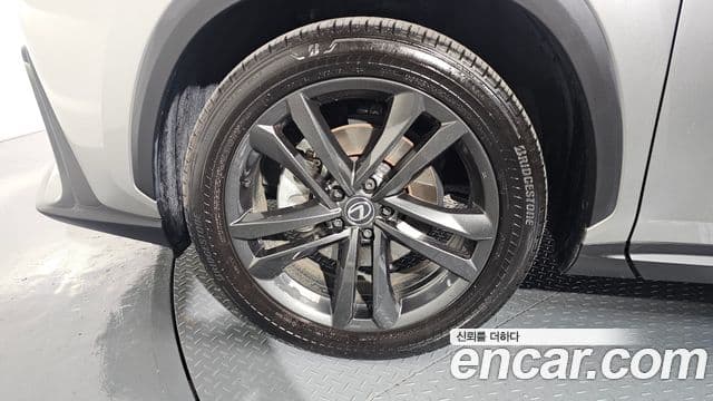 Lexus NX350h 2세대 Premium, 2025 все фото