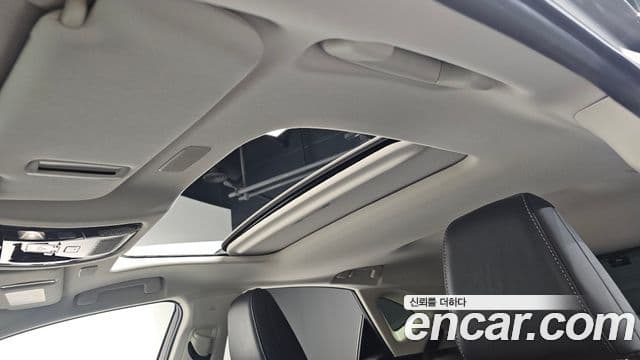 Lexus NX350h 2세대 Premium, 2025 19