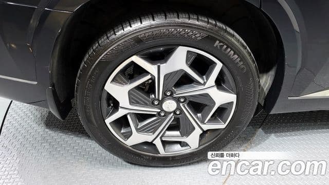 Hyundai Palisade Calligraphy, 2022 все фото