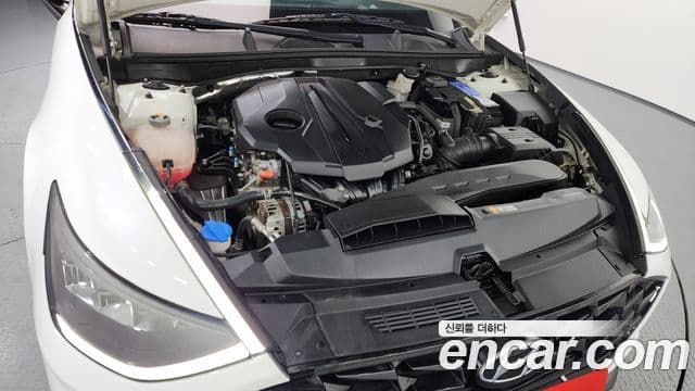 Hyundai Sonata (DN8) Modern, 2022 6