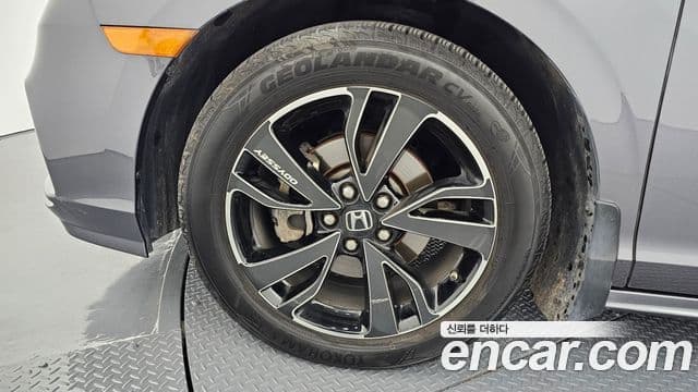 Honda Odyssey 5세대, 2019 все фото
