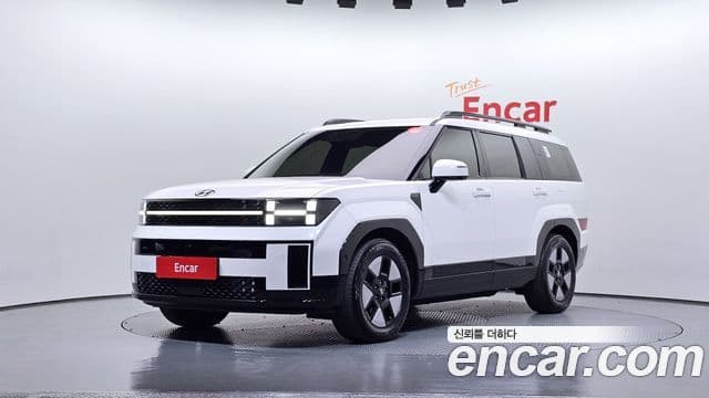 Hyundai Santa Fe (MX5) Calligraphy, 2024 1