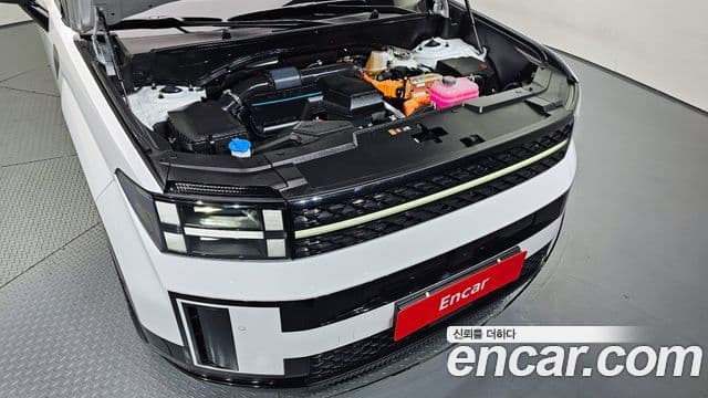 Hyundai Santa Fe (MX5) Calligraphy, 2024 6