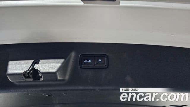 Hyundai Santa Fe (MX5) Calligraphy, 2024 19