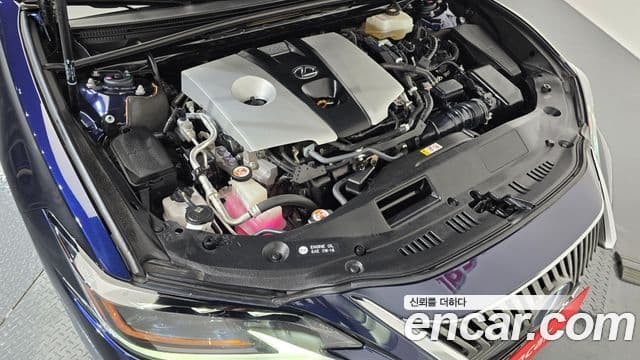 Lexus ES300h 7세대 Executive, 2020 6