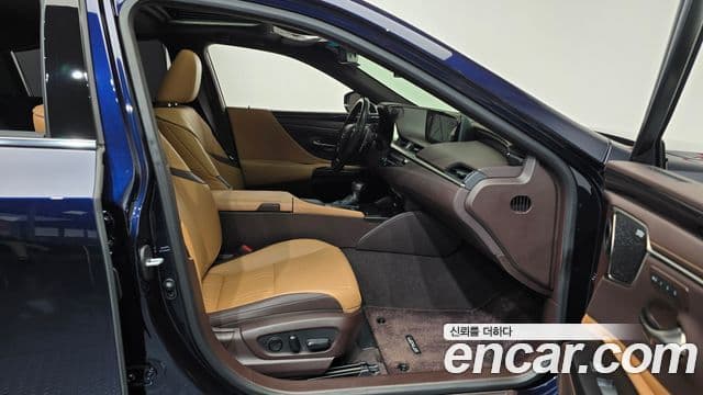 Lexus ES300h 7세대 Executive, 2020 11