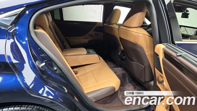 Lexus ES300h 7세대 Executive, 2020 12