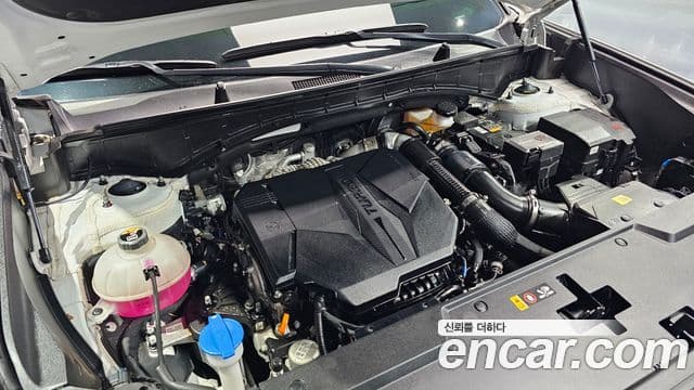 Hyundai Santa Fe (MX5) Calligraphy, 2024 6