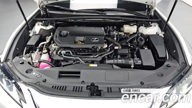 Lexus ES300h 7세대 Luxury Plus, 2023 6