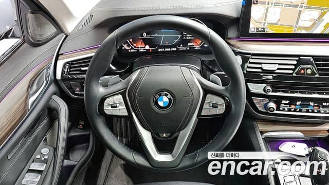 BMW 5시리즈 (G30) Luxury, 2023 13