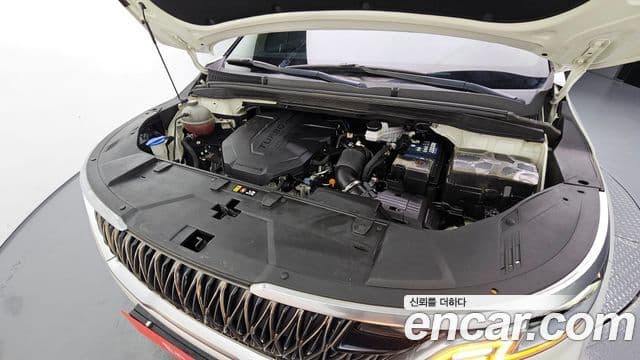 Kia Carnival 4세대 Noblesse, 2021 6