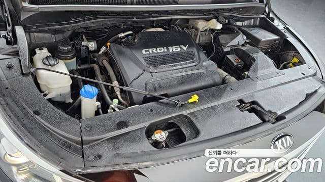 Kia All New Carnival Noblesse, 2017 6