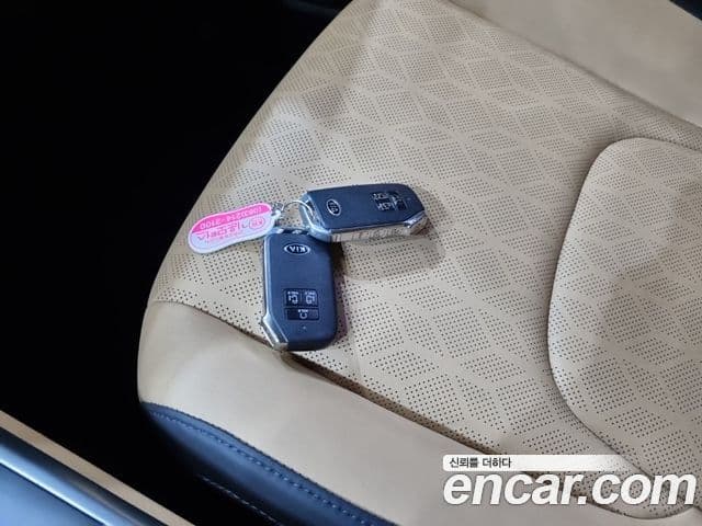 Kia Carnival 4세대 Prestige, 2021 13