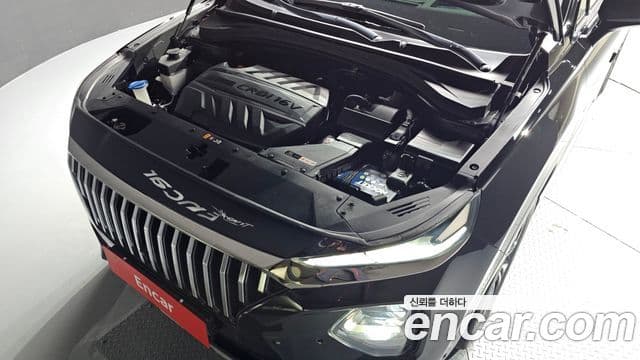 Hyundai Santa Fe TM Exclusive Special, 2019 6