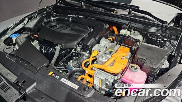 Kia K5 гибрид 3세대 Noblesse, 2022 6