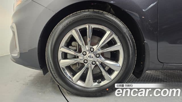 Kia The / новый New Carnival Special, 2019 все фото