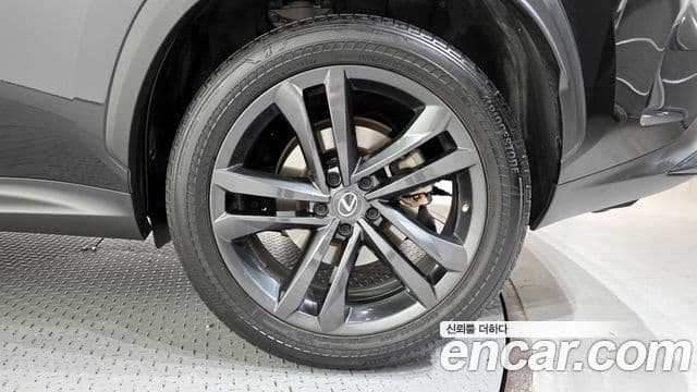Lexus NX350h 2세대 Premium, 2023 все фото