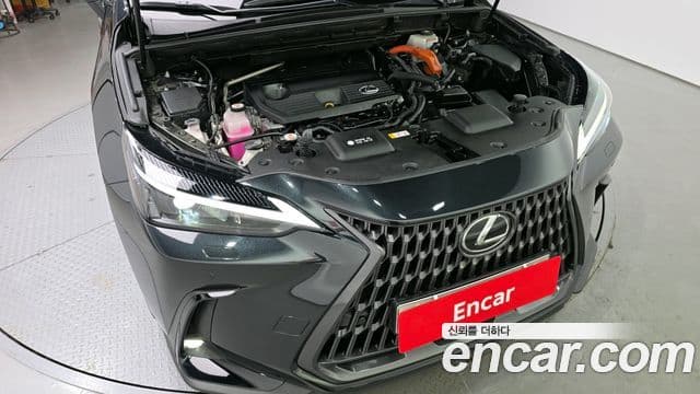 Lexus NX350h 2세대 Premium, 2023 6