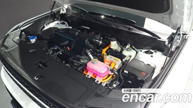 Hyundai Santa Fe (MX5) Calligraphy, 2024 6