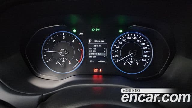 Hyundai Palisade Exclusive, 2021 8