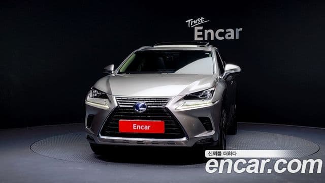 Lexus NX300h Executive, 2018 3