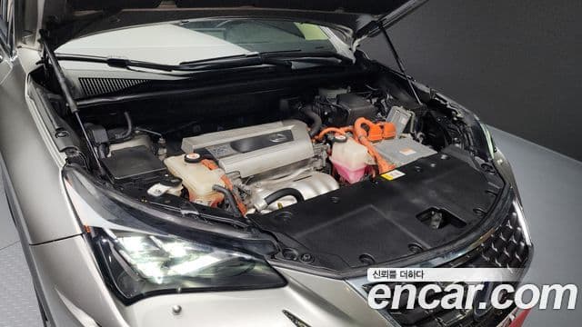 Lexus NX300h Executive, 2018 6